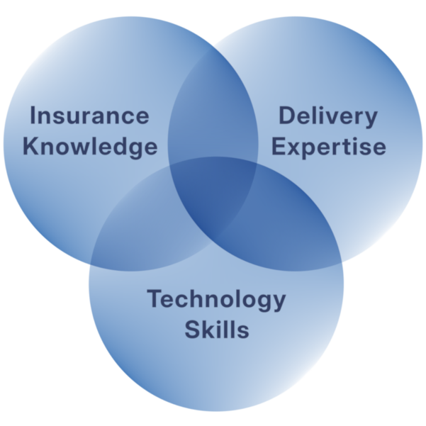 Capabilities Venn Diagram
